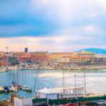 VIII. Inflammation and Infection Imaging, Livorno, Italy, May 24–26, 2024