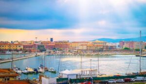 VIII. Inflammation and Infection Imaging, Livorno, Italy, May 24–26, 2024